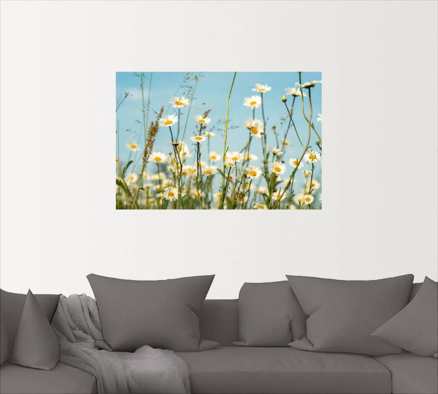 Artland Artprint Margrieten voor zomer hemel als artprint op linnen muursticker in verschillende maten