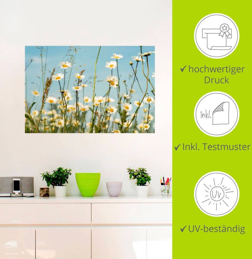 Artland Artprint Margrieten voor zomer hemel als artprint op linnen muursticker in verschillende maten