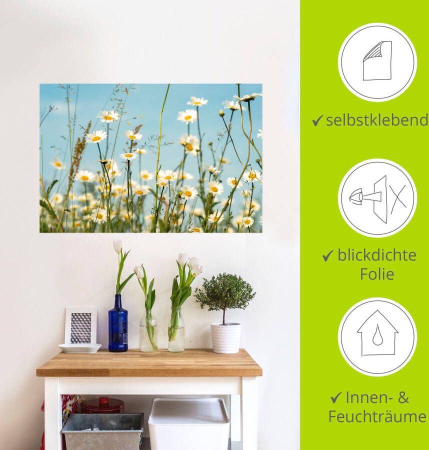 Artland Artprint Margrieten voor zomer hemel als artprint op linnen muursticker in verschillende maten