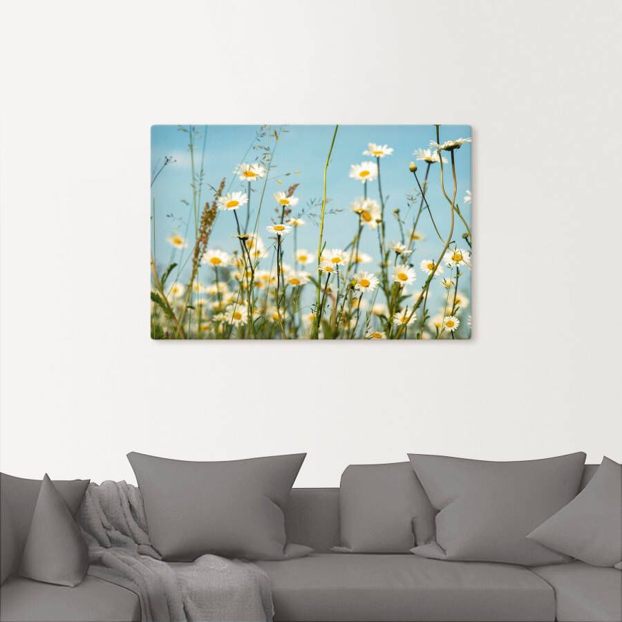 Artland Artprint Margrieten voor zomer hemel als artprint op linnen muursticker in verschillende maten