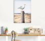 Artland Artprint Meeuw als artprint van aluminium artprint voor buiten artprint op linnen poster muursticker - Thumbnail 3