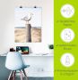 Artland Artprint Meeuw als artprint van aluminium artprint voor buiten artprint op linnen poster muursticker - Thumbnail 5