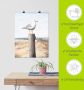 Artland Artprint Meeuw als artprint van aluminium artprint voor buiten artprint op linnen poster muursticker - Thumbnail 6