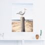 Artland Artprint Meeuw als artprint van aluminium artprint voor buiten artprint op linnen poster muursticker - Thumbnail 2