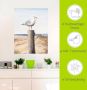 Artland Artprint Meeuw als artprint van aluminium artprint voor buiten artprint op linnen poster muursticker - Thumbnail 5