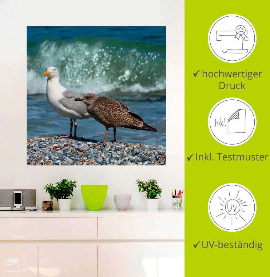 Artland Artprint Meeuwen in de branding als poster muursticker in verschillende maten