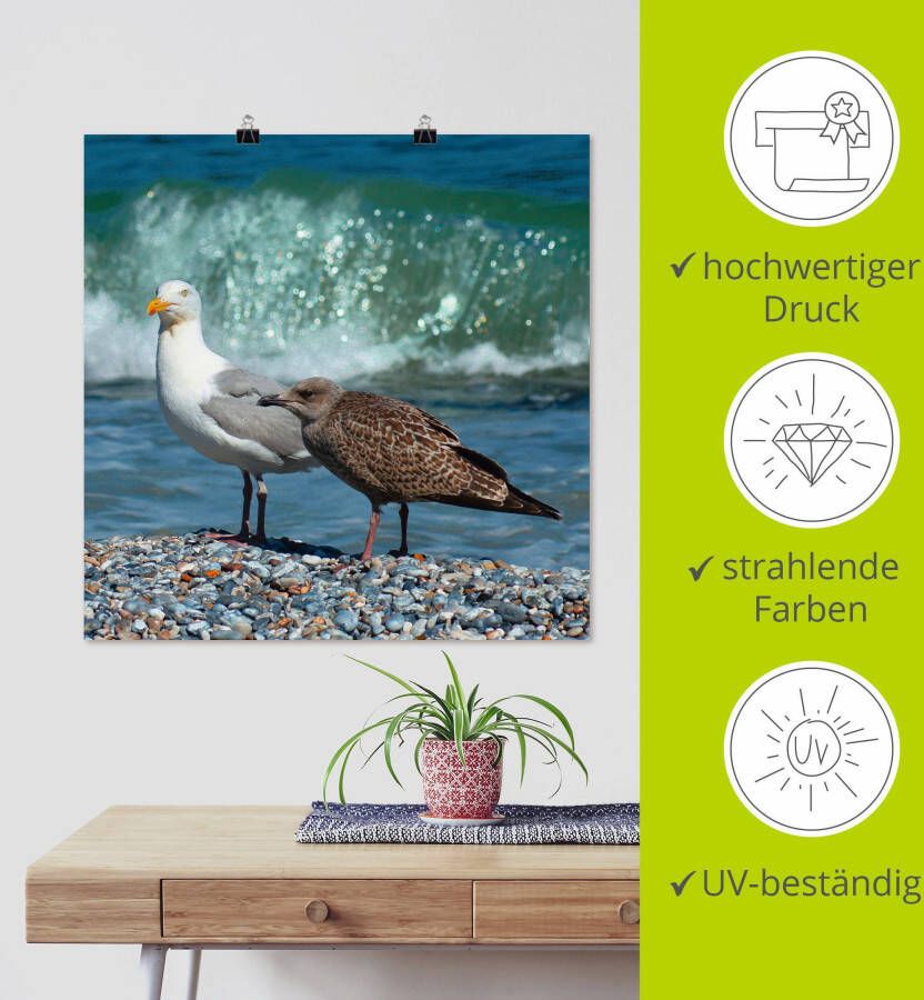 Artland Artprint Meeuwen in de branding als poster muursticker in verschillende maten