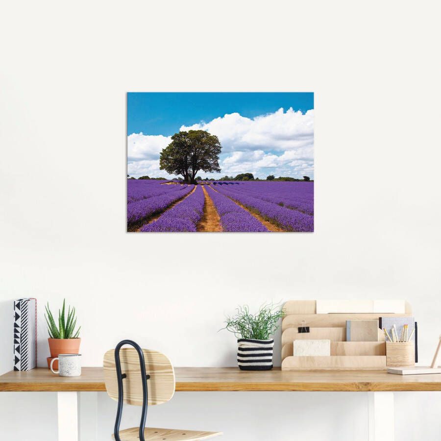 Artland Artprint Mooi lavendelveld in de zomer als artprint van aluminium artprint voor buiten artprint op linnen in verschillende maten