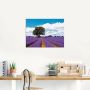 Artland Artprint Mooi lavendelveld in de zomer als artprint van aluminium artprint voor buiten artprint op linnen in verschillende maten - Thumbnail 4