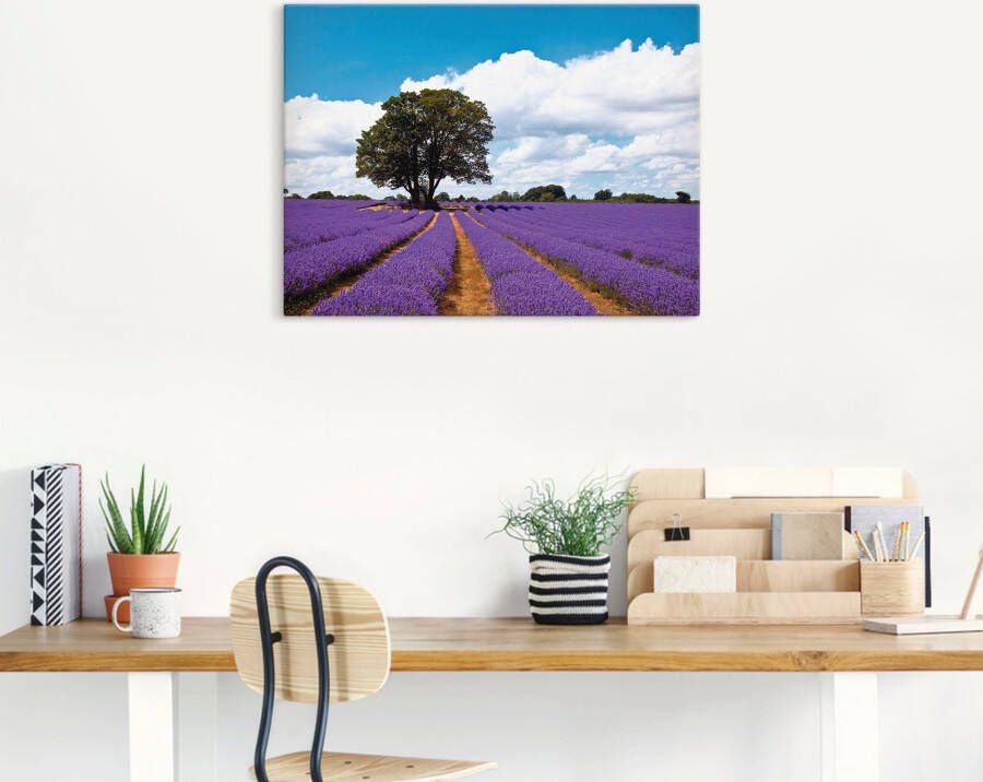 Artland Artprint Mooi lavendelveld in de zomer als artprint van aluminium artprint voor buiten artprint op linnen in verschillende maten