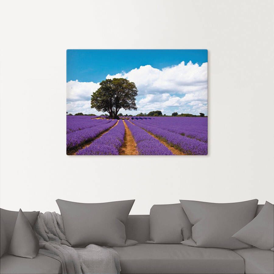 Artland Artprint Mooi lavendelveld in de zomer als artprint van aluminium artprint voor buiten artprint op linnen in verschillende maten