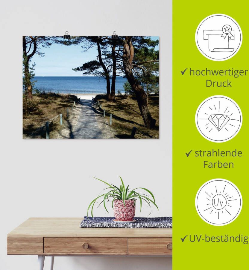 Artland Artprint Mooie Oostzeekust als artprint op linnen poster in verschillende formaten maten