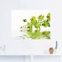 Artland Artprint Mooie orchidee met groene achtergrond als artprint op linnen muursticker in verschillende maten - Thumbnail 2