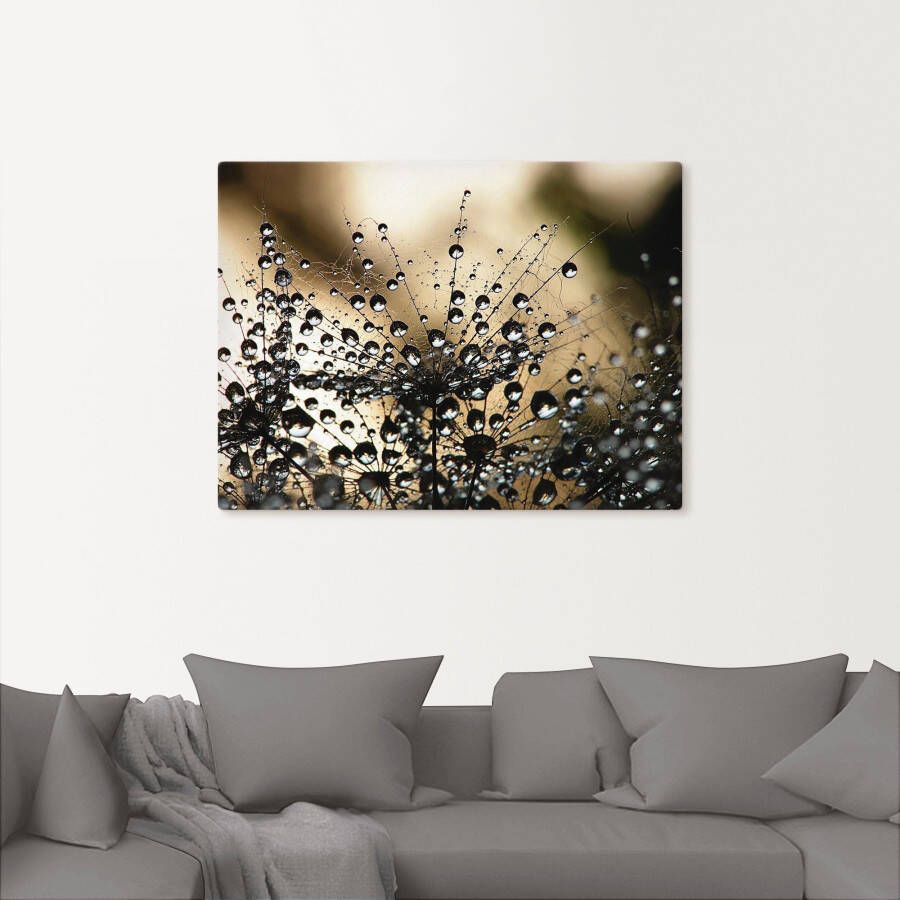 Artland Artprint Natte paardenbloem als artprint van aluminium artprint voor buiten artprint op linnen poster muursticker