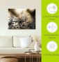 Artland Artprint Natte paardenbloem als artprint van aluminium artprint voor buiten artprint op linnen poster muursticker - Thumbnail 6