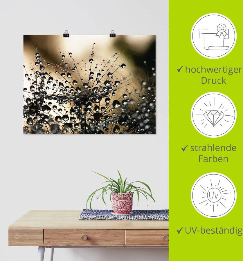 Artland Artprint Natte paardenbloem als artprint van aluminium artprint voor buiten artprint op linnen poster muursticker