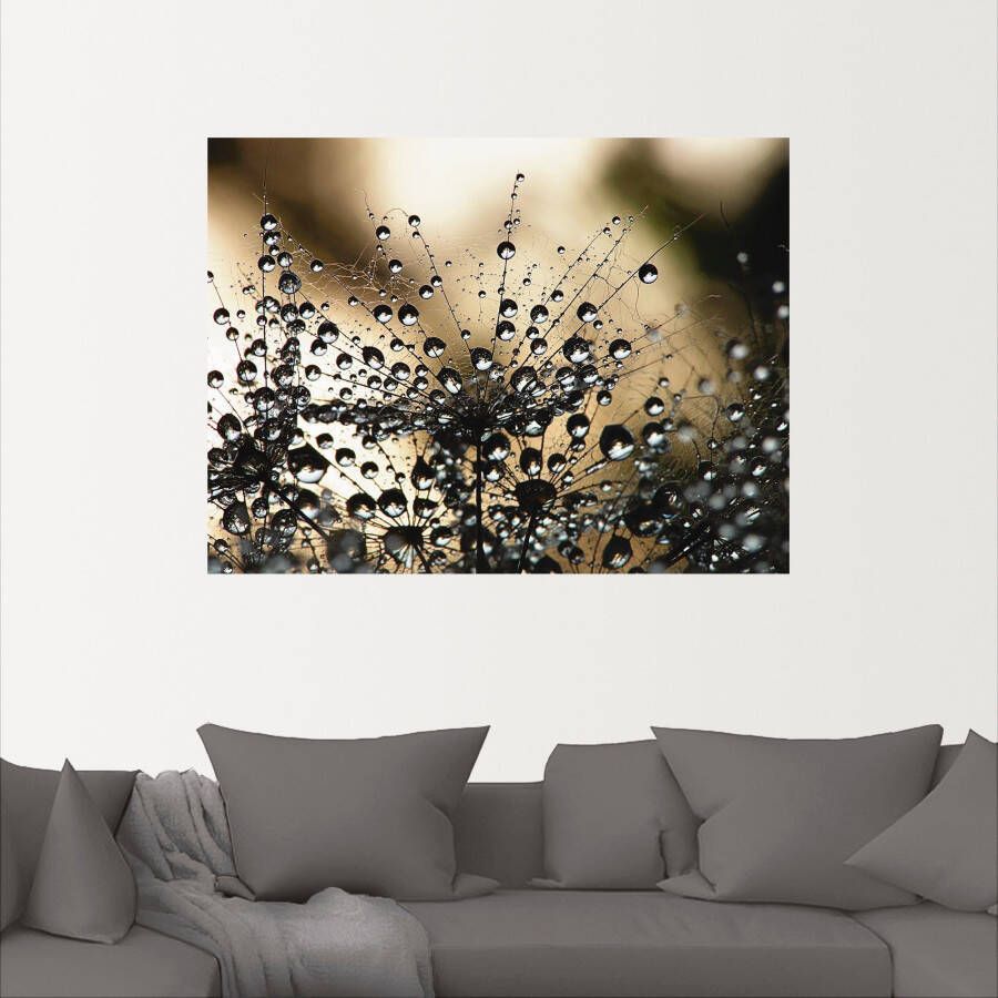 Artland Artprint Natte paardenbloem als artprint van aluminium artprint voor buiten artprint op linnen poster muursticker