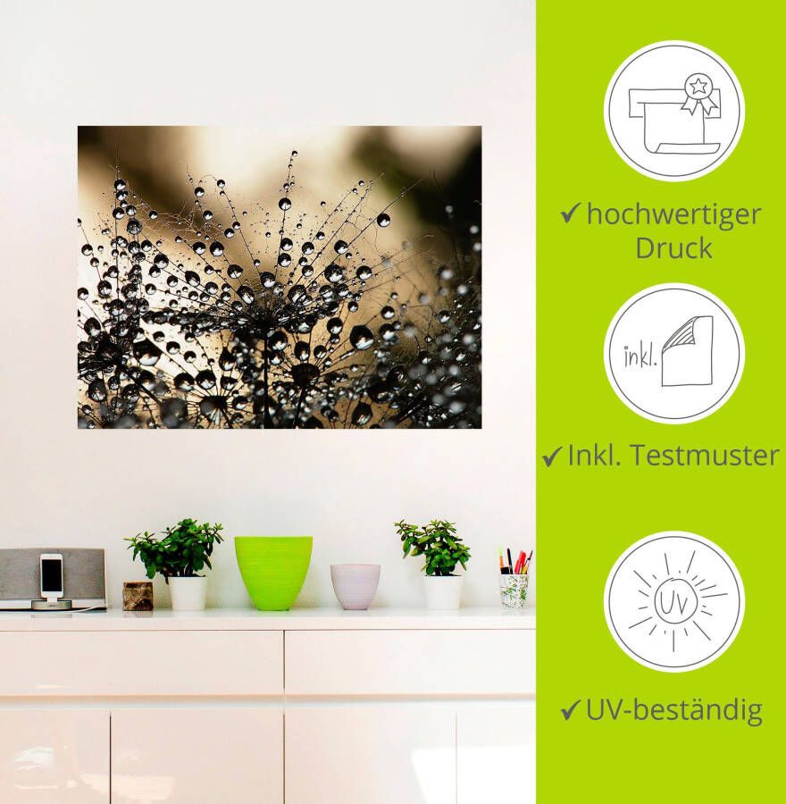 Artland Artprint Natte paardenbloem als artprint van aluminium artprint voor buiten artprint op linnen poster muursticker