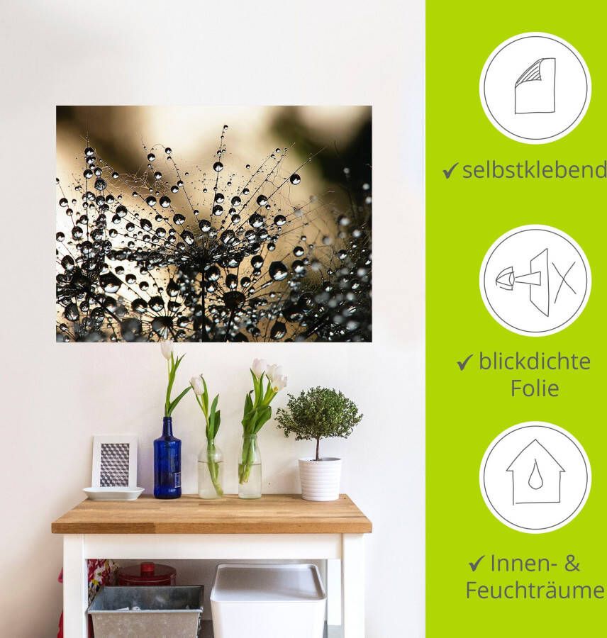 Artland Artprint Natte paardenbloem als artprint van aluminium artprint voor buiten artprint op linnen poster muursticker