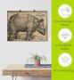 Artland Artprint Neushoorn. 1515. Voor koning Emanuel. als artprint op linnen muursticker of poster in verschillende maten - Thumbnail 5