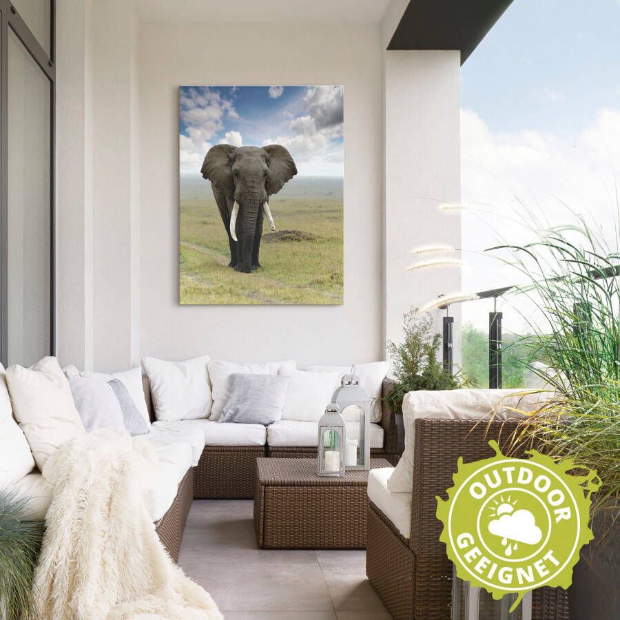 Artland Artprint Olifant als artprint van aluminium artprint voor buiten artprint op linnen poster in verschillende maten. maten