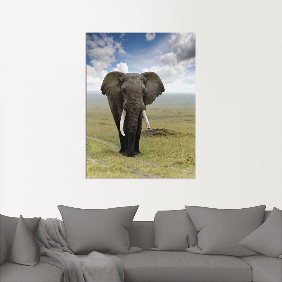 Artland Artprint Olifant als artprint van aluminium artprint voor buiten artprint op linnen poster in verschillende maten. maten