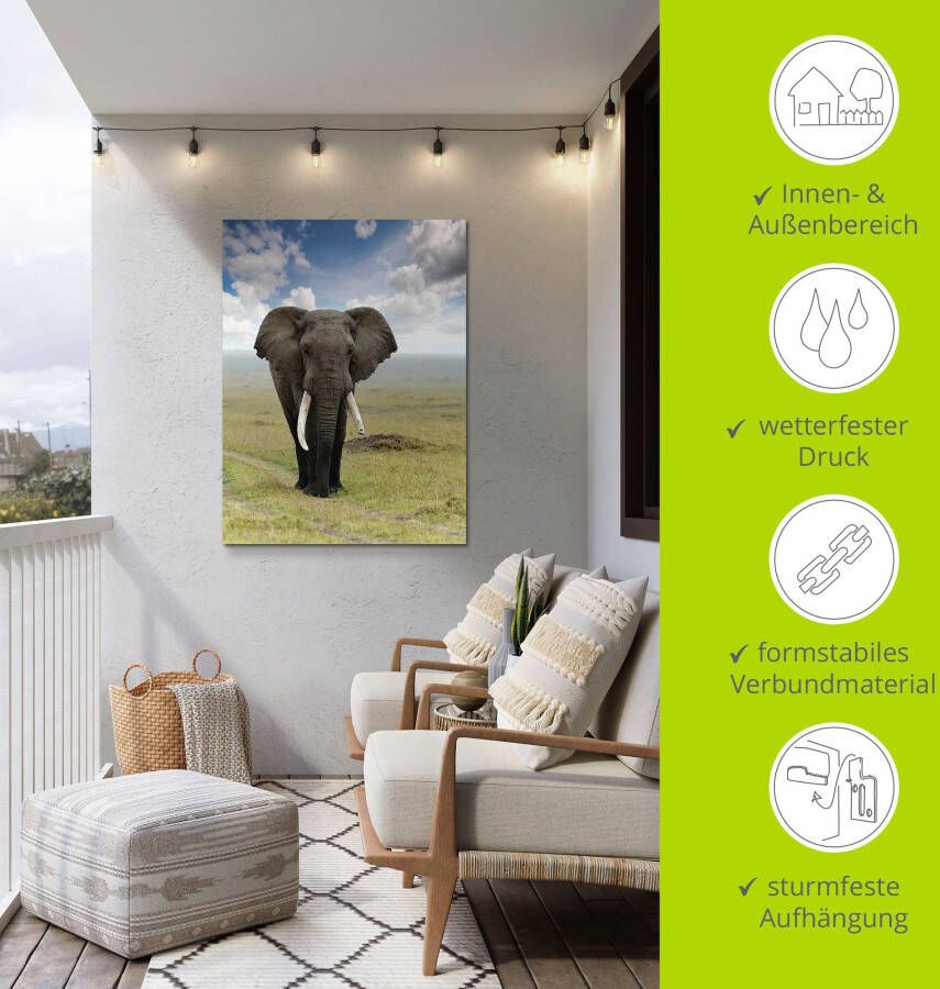 Artland Artprint Olifant als artprint van aluminium artprint voor buiten artprint op linnen poster in verschillende maten. maten