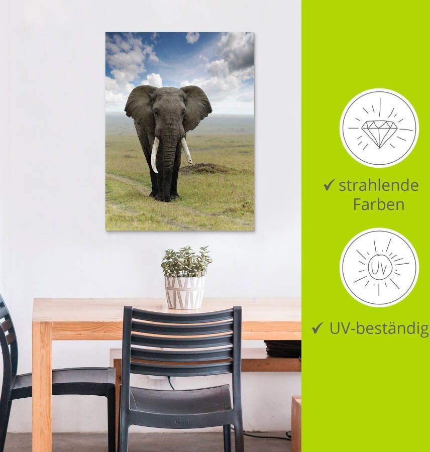 Artland Artprint Olifant als artprint van aluminium artprint voor buiten artprint op linnen poster in verschillende maten. maten