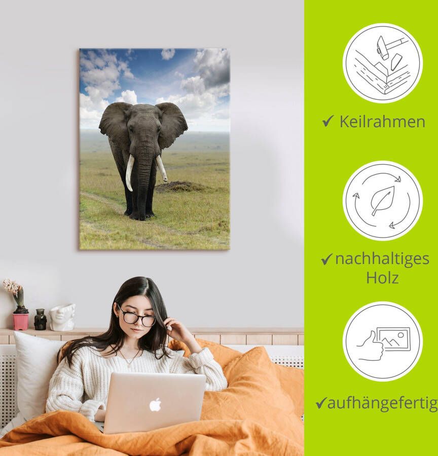 Artland Artprint Olifant als artprint van aluminium artprint voor buiten artprint op linnen poster in verschillende maten. maten