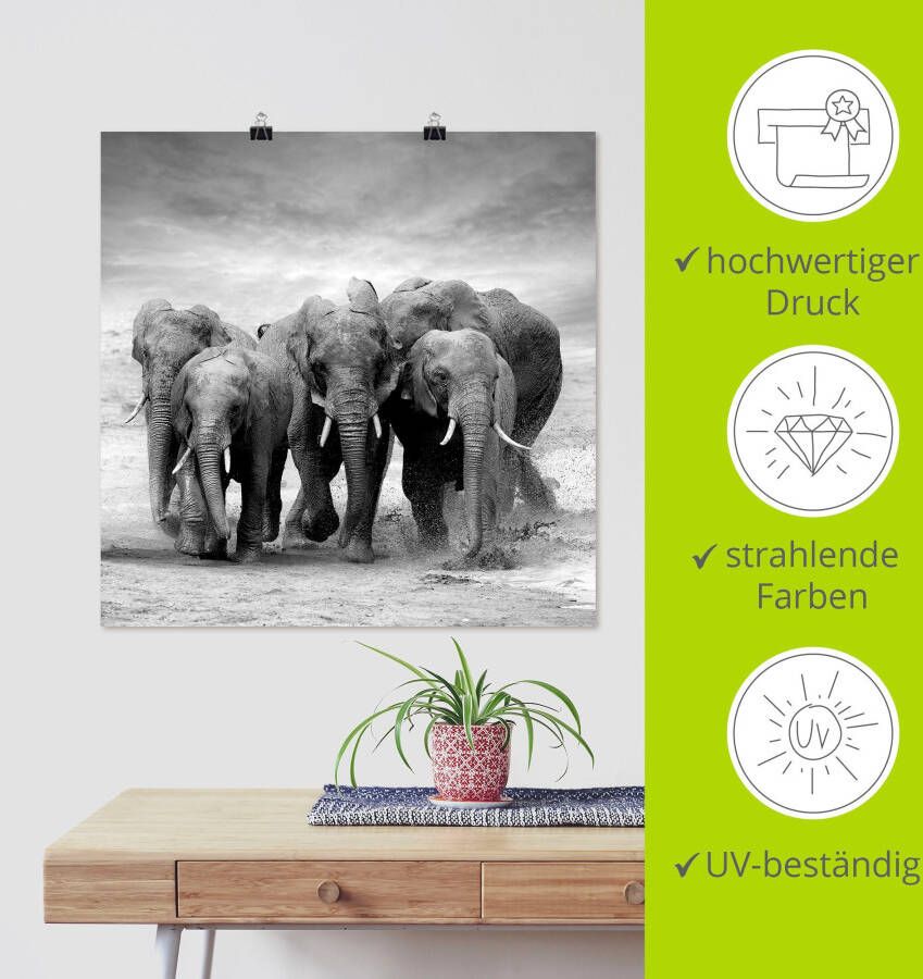 Artland Artprint Olifanten als artprint op linnen poster muursticker in verschillende maten