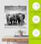 Artland Artprint Olifanten als artprint op linnen poster muursticker in verschillende maten - Thumbnail 6