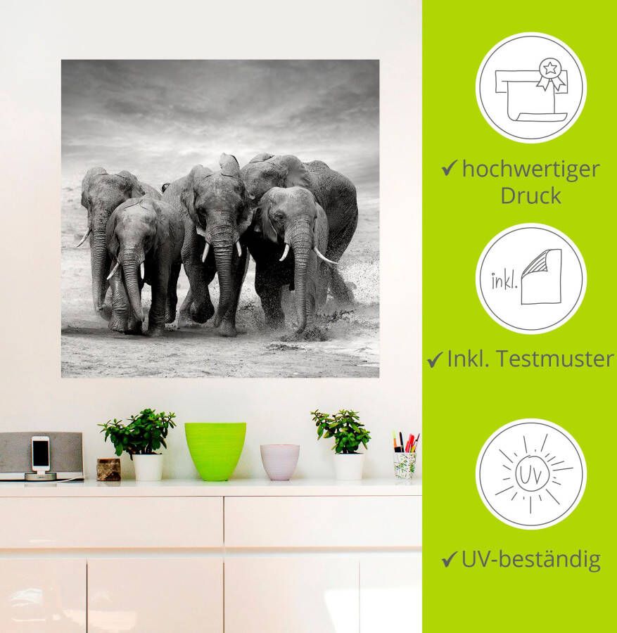 Artland Artprint Olifanten als artprint op linnen poster muursticker in verschillende maten