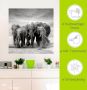 Artland Artprint Olifanten als artprint op linnen poster muursticker in verschillende maten - Thumbnail 5