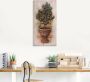 Artland Artprint op linnen Olijfboom met hout-look gespannen op een spieraam - Thumbnail 3