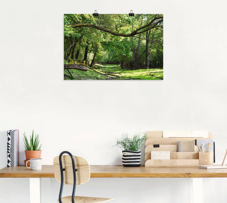 Artland Artprint Op de groene weg door het groene bos als artprint van aluminium artprint voor buiten artprint op linnen poster in verschillende maten. maten