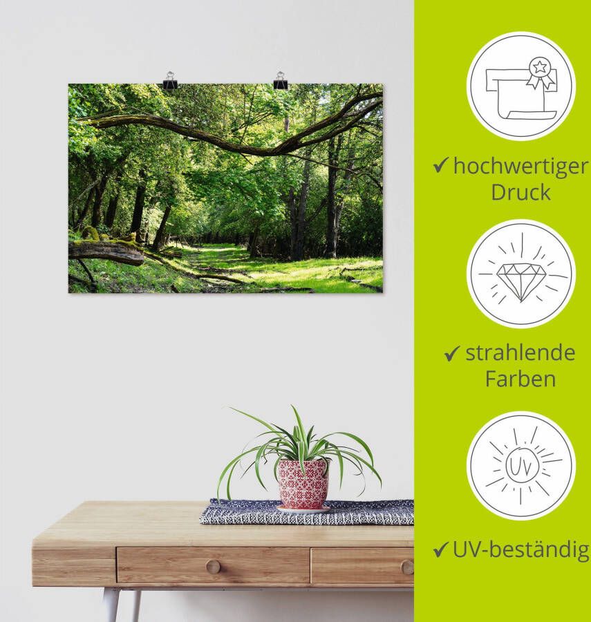 Artland Artprint Op de groene weg door het groene bos als artprint van aluminium artprint voor buiten artprint op linnen poster in verschillende maten. maten