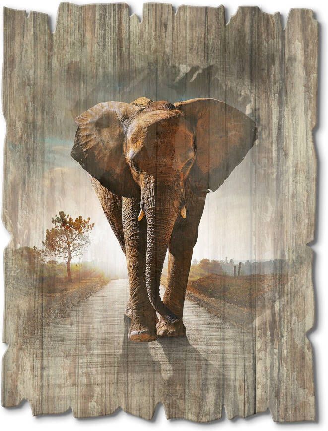 Artland Artprint op hout Een olifant loopt op de weg