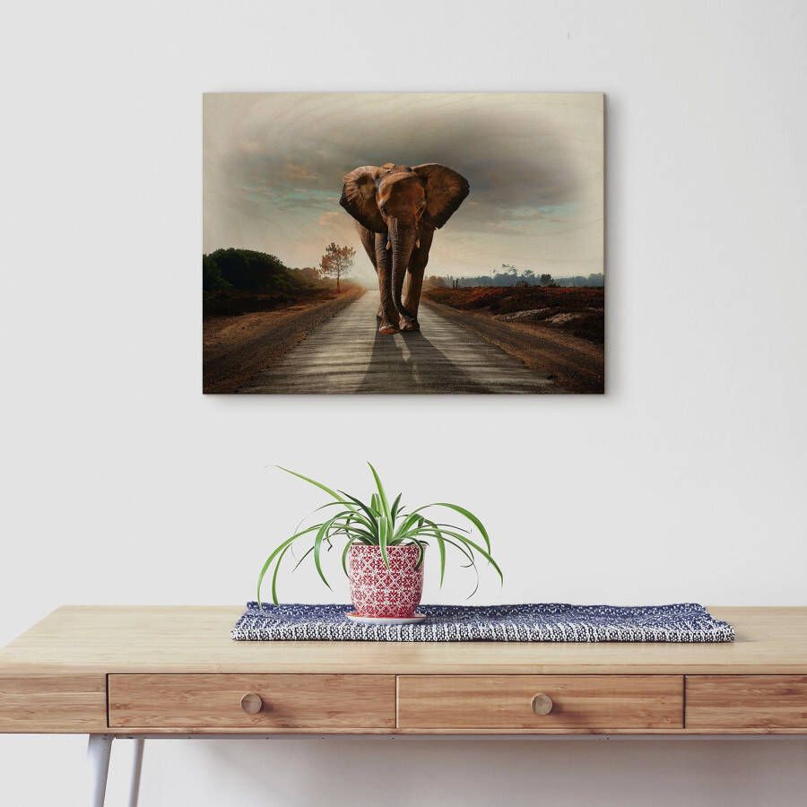 Artland Artprint op hout Een olifant loopt op de weg