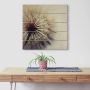 Artland Artprint op hout Grote pluizenbol - Thumbnail 3