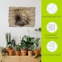 Artland Artprint op hout Grote pluizenbol - Thumbnail 5