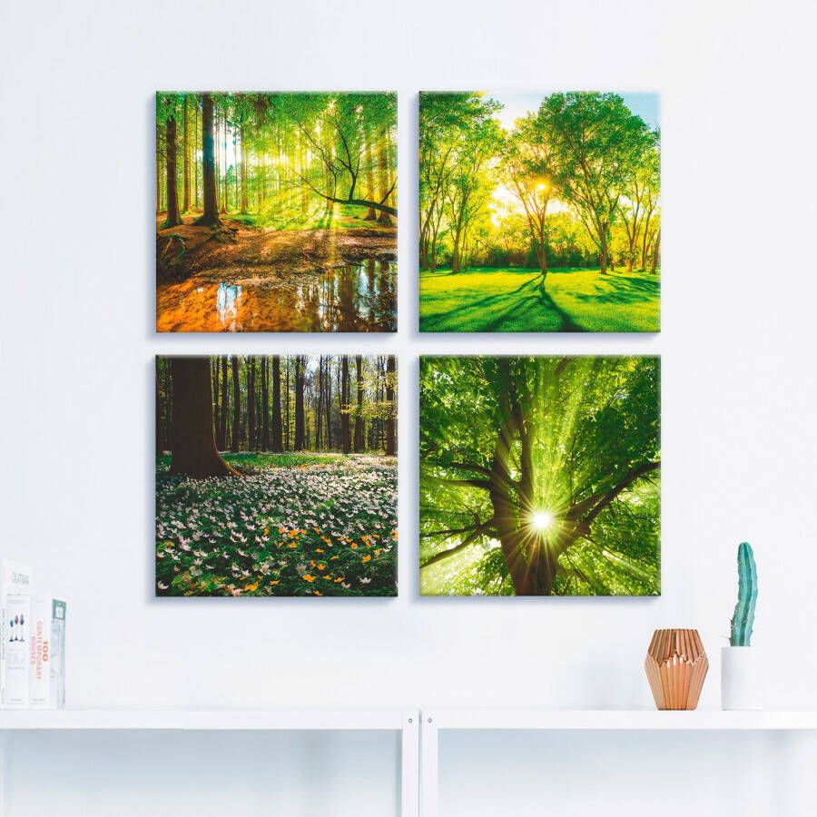 Artland Artprint op linnen Bos beek voorjaar windroos zon boom (4-delig)