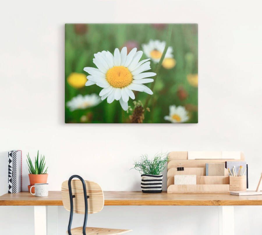 Artland Artprint op linnen Een margriet op de bloemenweide