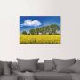 Artland Artprint op linnen Koolzaadveld in de lente gespannen op een spieraam - Thumbnail 2