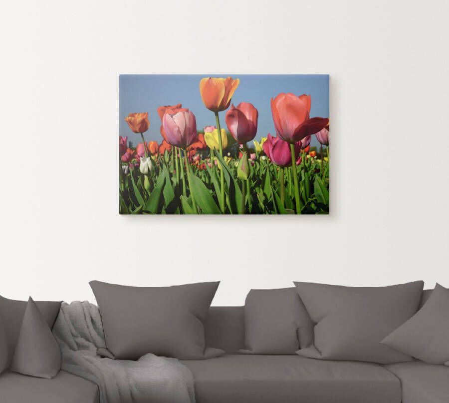 Artland Artprint op linnen Kleurrijk tulpenveld gespannen op een spieraam