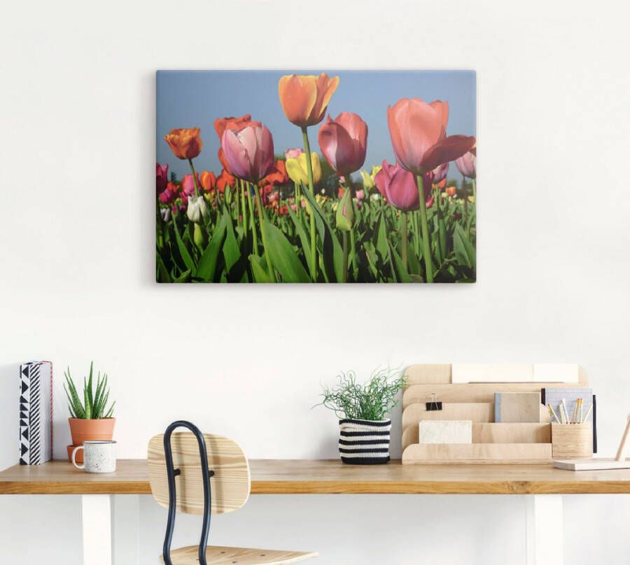 Artland Artprint op linnen Kleurrijk tulpenveld gespannen op een spieraam