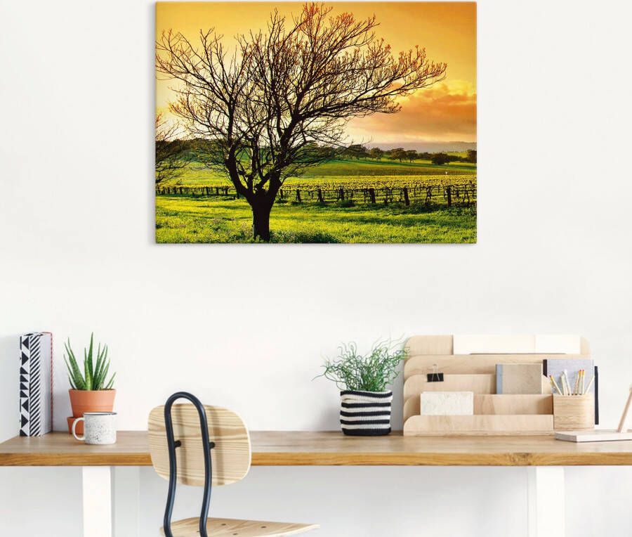 Artland Artprint op linnen Landschap met wijnbergen gespannen op een spieraam