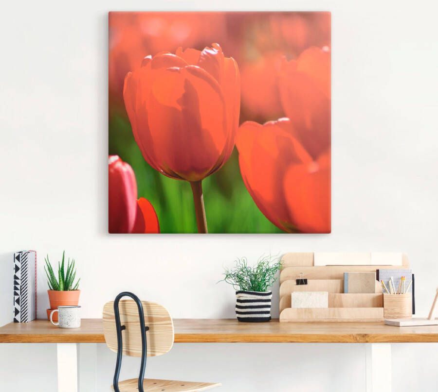 Artland Artprint op linnen Rode tulpen in de zon gespannen op een spieraam