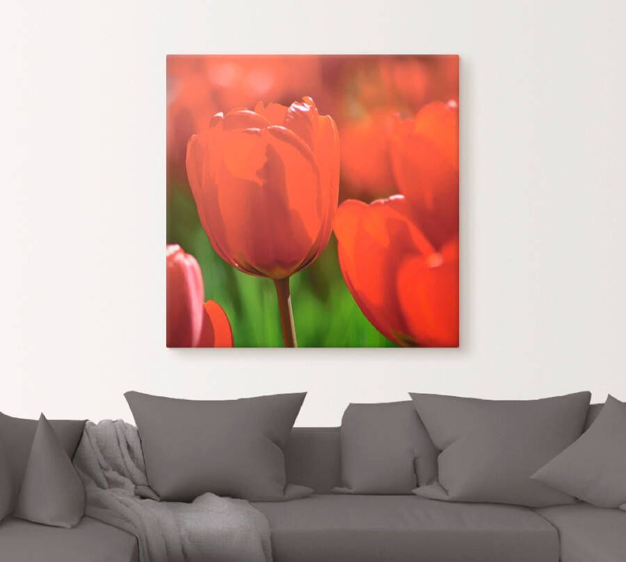 Artland Artprint op linnen Rode tulpen in de zon gespannen op een spieraam