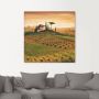 Artland Artprint op linnen Toscaans landschap met klaprozen I - Thumbnail 2