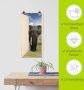 Artland Artprint Open witte deur met blik op olifant als artprint op linnen poster muursticker in verschillende maten - Thumbnail 6